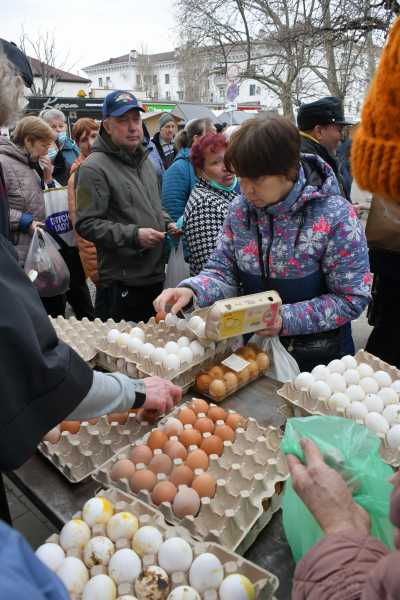 В Новороссийске можно ожидать профицита местных куриных яиц&nbsp;