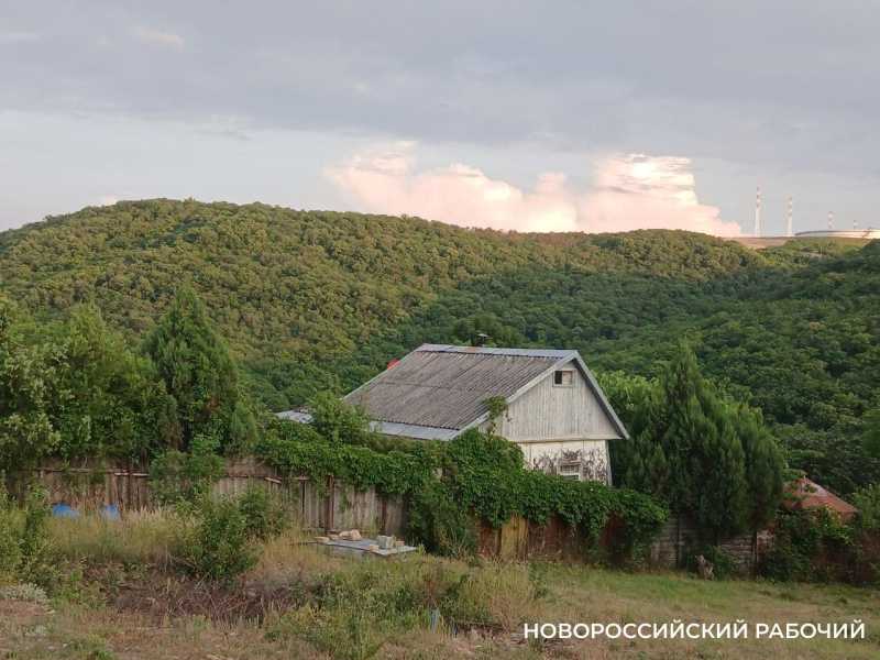 В Новороссийске нашли заброшенные участки, которые по закону можно изъять  у владельцев
