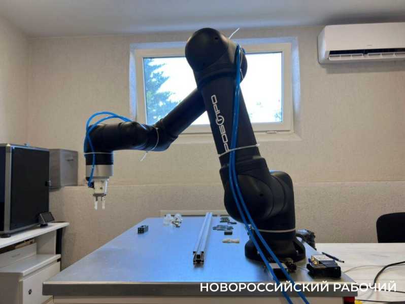 В Новороссийске обещают решить кадровые проблемы коллаборацией с роботом