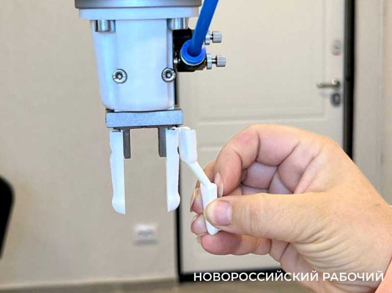 В Новороссийске обещают решить кадровые проблемы коллаборацией с роботом