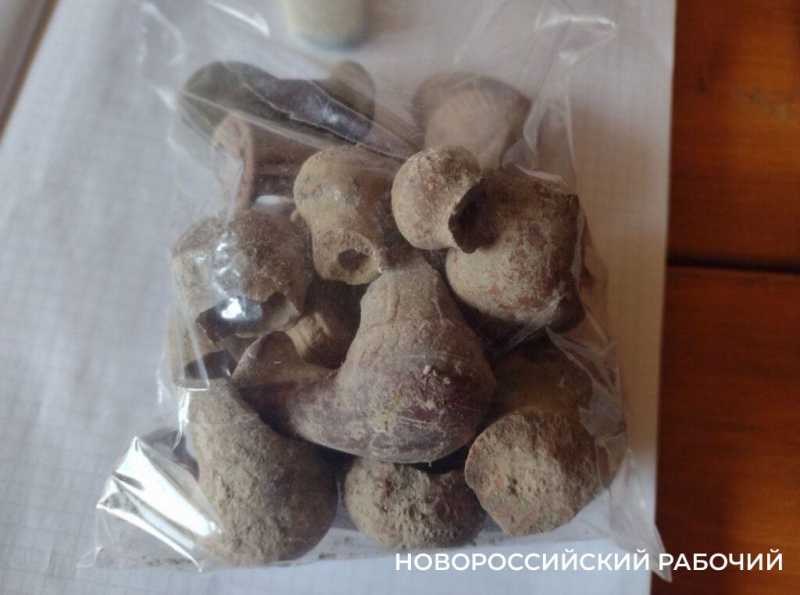 В Новороссийске при раскопках на Малой земле сделаны новые уникальные находки