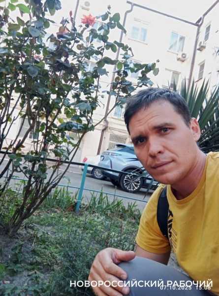 В Новороссийске прижились можжевельники, спасенные горожанами от уничтожения при строительстве