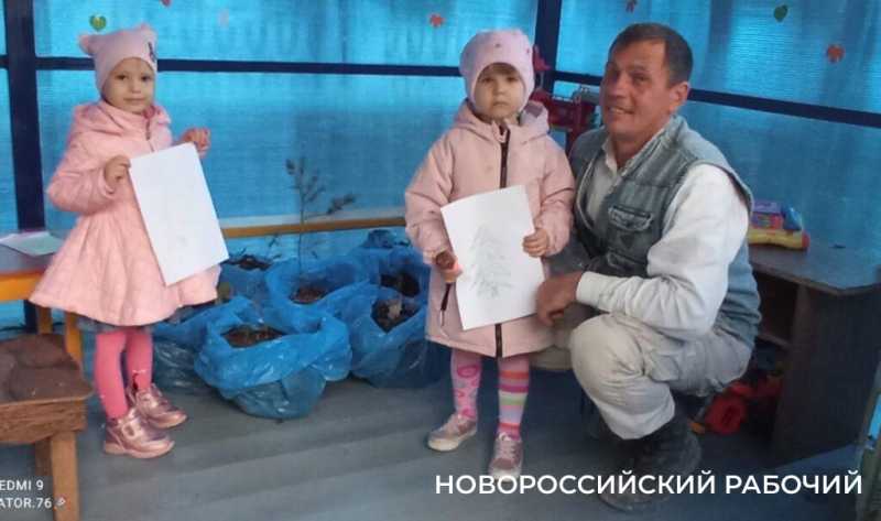 В Новороссийске прижились можжевельники, спасенные горожанами от уничтожения при строительстве