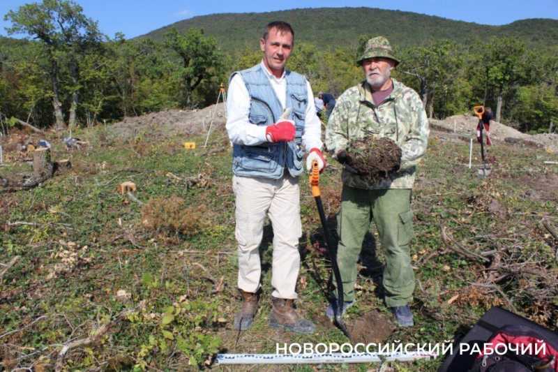 В Новороссийске прижились можжевельники, спасенные горожанами от уничтожения при строительстве
