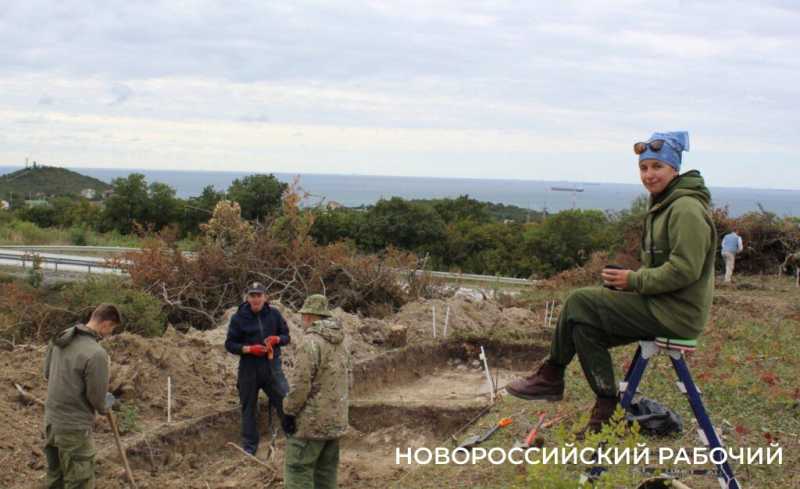 В Новороссийске прижились можжевельники, спасенные горожанами от уничтожения при строительстве