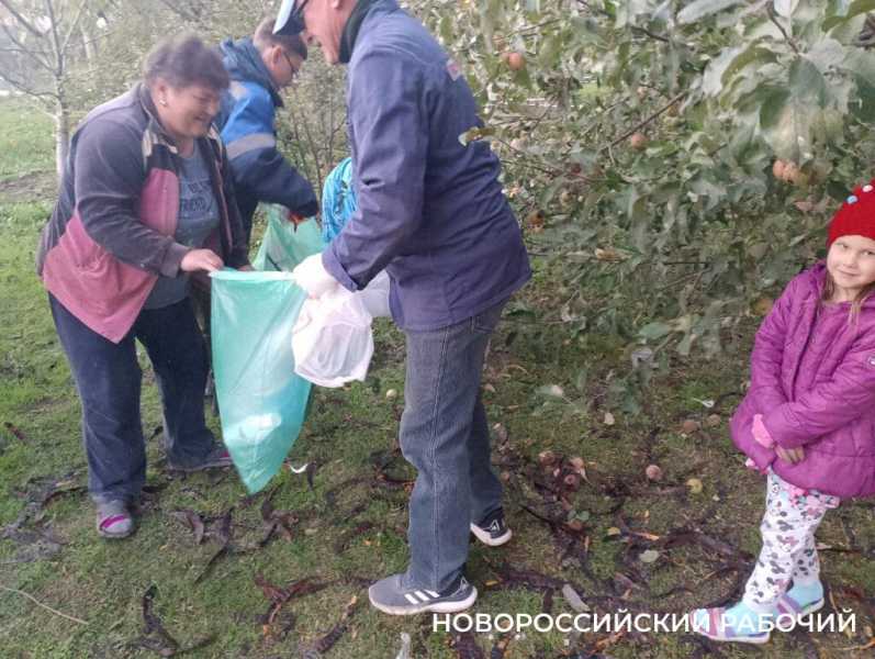 В Новороссийске прошел «Час пластика». Рекорд субботника поставили  на Шесхарисе
