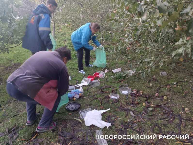 В Новороссийске прошел «Час пластика». Рекорд субботника поставили  на Шесхарисе
