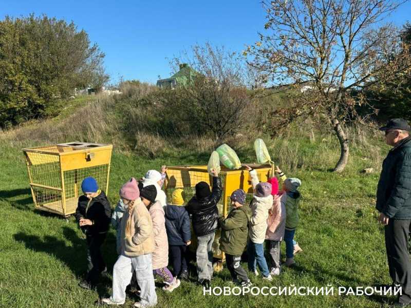 В Новороссийске прошел «Час пластика». Рекорд субботника поставили  на Шесхарисе