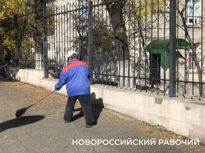 В Новороссийске студентов хотят привлечь к бесплатной уборке улиц и дворов