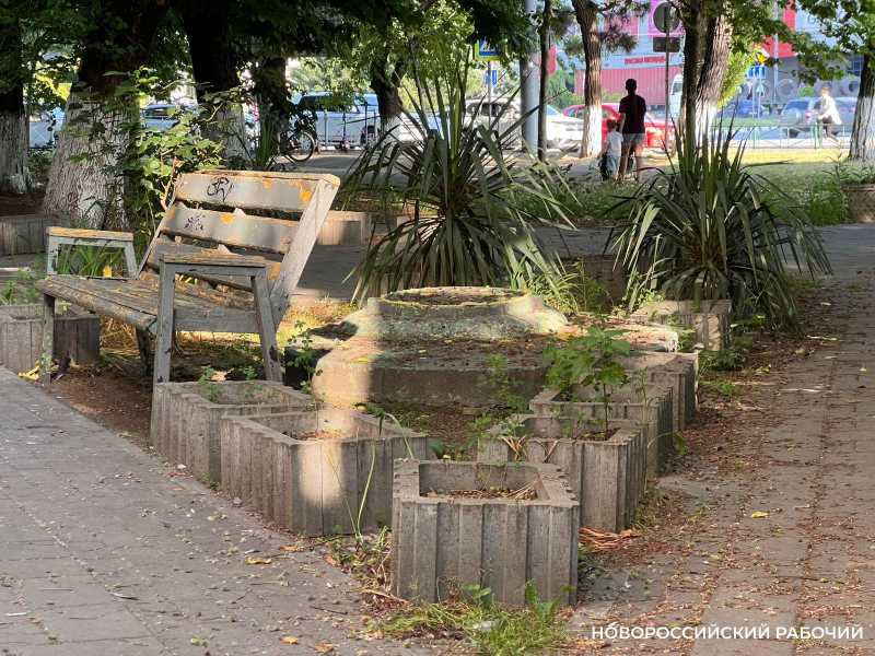 В сквере в центре &nbsp;Новороссийска чистоту наводят по несколько раз в день. Откуда мусор?
