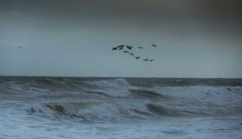 В связи с ожиданием ухудшения погодных условий в Новороссийске с 24 по 27 октября введен режим &laquo;Повышенная готовность&raquo;