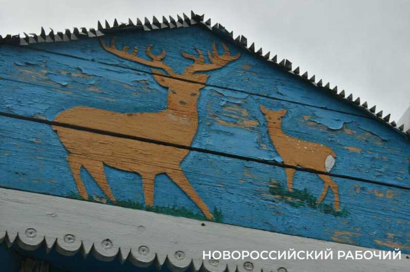 Встретимся на платиновой свадьбе! 1 октября Новороссийск отмечает День пожилого человека