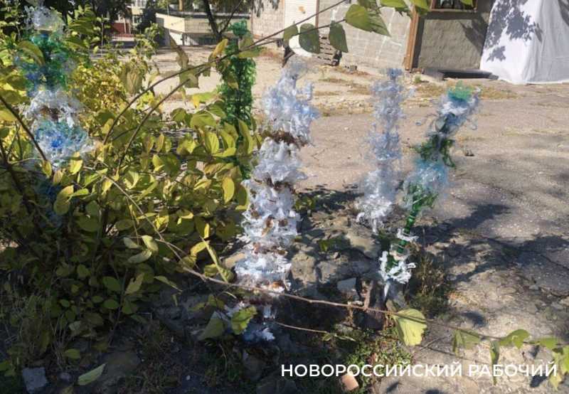 ЖКХ-арт рулит! В Новороссийске прошел первых фестиваль современного искусства
