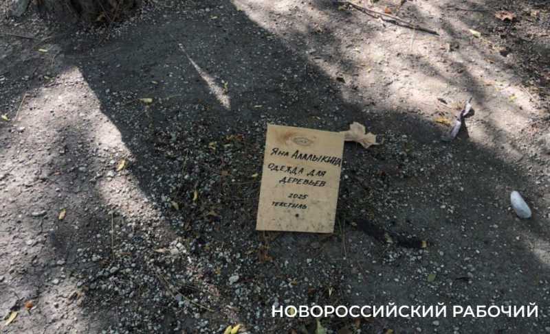 ЖКХ-арт рулит! В Новороссийске прошел первых фестиваль современного искусства
