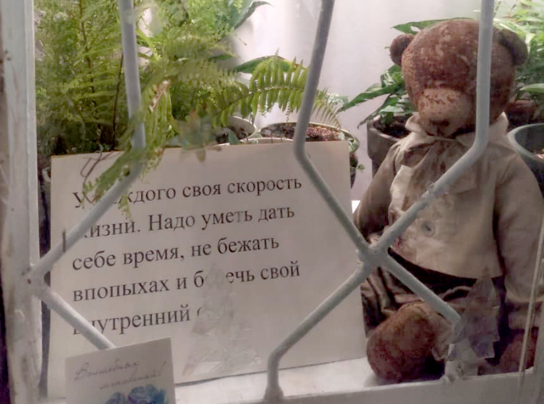 19 ноября &mdash; День плюшевого мишки! В Новороссийске мишки-философы Ирины Кованевой продолжают делать жизнь теплее