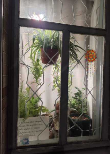 19 ноября &mdash; День плюшевого мишки! В Новороссийске мишки-философы Ирины Кованевой продолжают делать жизнь теплее