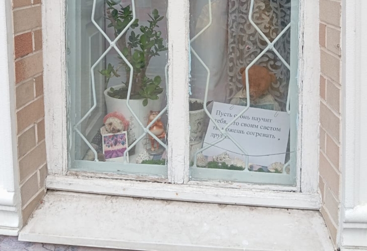 19 ноября &mdash; День плюшевого мишки! В Новороссийске мишки-философы Ирины Кованевой продолжают делать жизнь теплее