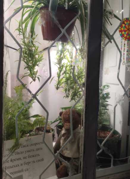 19 ноября &mdash; День плюшевого мишки! В Новороссийске мишки-философы Ирины Кованевой продолжают делать жизнь теплее