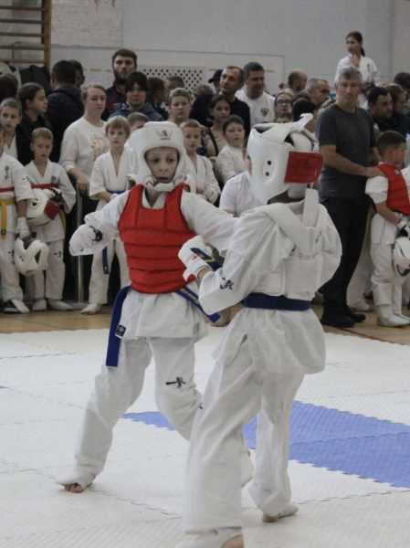 29 новороссийцев завоевали 43 награды краевых соревнований по киокусинкай