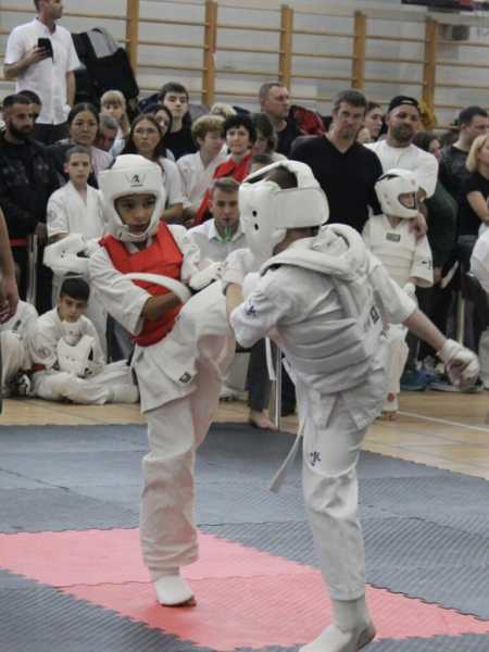 29 новороссийцев завоевали 43 награды краевых соревнований по киокусинкай