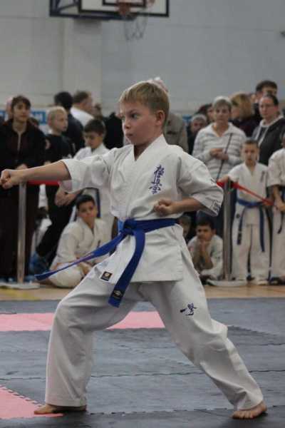 29 новороссийцев завоевали 43 награды краевых соревнований по киокусинкай