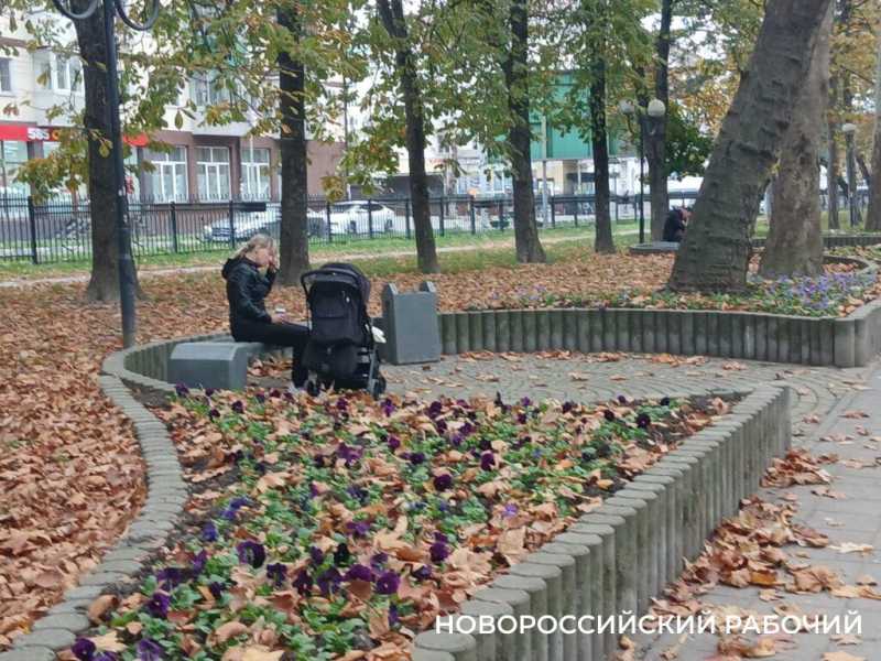 А у вас уже снег?! &laquo;Золотой ноябрь&raquo; в Новороссийске прекрасен!