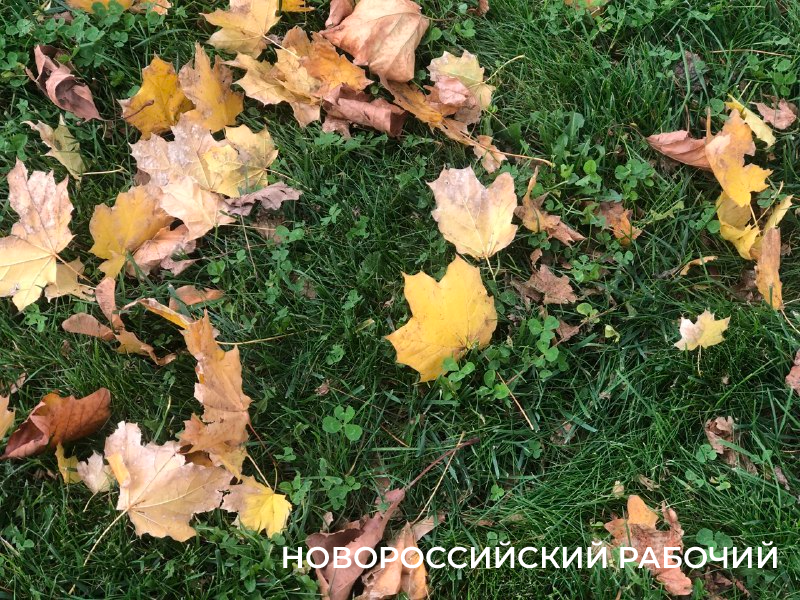 А у вас уже снег?! &laquo;Золотой ноябрь&raquo; в Новороссийске прекрасен!