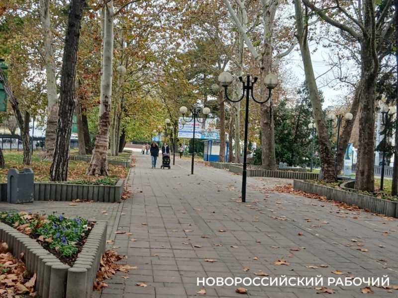 А у вас уже снег?! &laquo;Золотой ноябрь&raquo; в Новороссийске прекрасен!