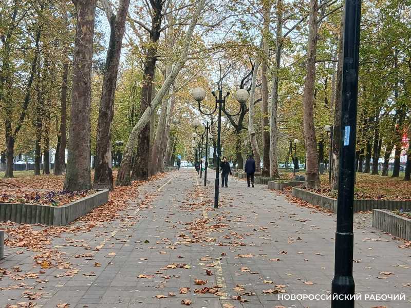 А у вас уже снег?! &laquo;Золотой ноябрь&raquo; в Новороссийске прекрасен!