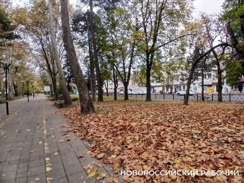 А у вас уже снег?! &laquo;Золотой ноябрь&raquo; в Новороссийске прекрасен!