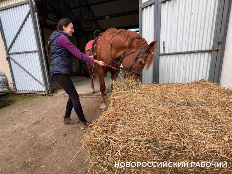 Биомеханика и восторг! В Новороссийске лошади помогают детям-инвалидам