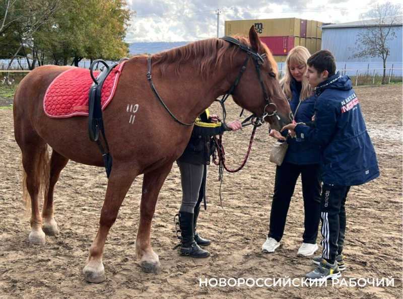 Биомеханика и восторг! В Новороссийске лошади помогают детям-инвалидам