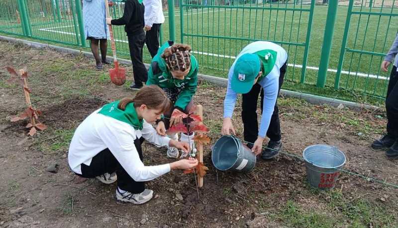 Более 8 тысяч деревьев высадили на Кубани в рамках акции &laquo;Сохраним лес&raquo;