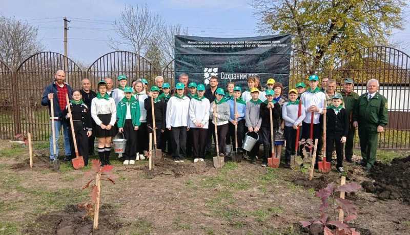 Более 8 тысяч деревьев высадили на Кубани в рамках акции &laquo;Сохраним лес&raquo;