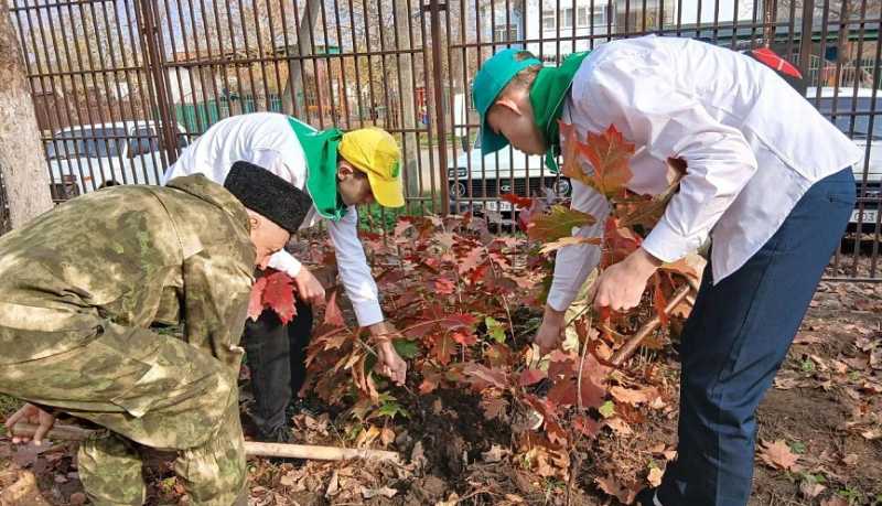 Более 8 тысяч деревьев высадили на Кубани в рамках акции &laquo;Сохраним лес&raquo;