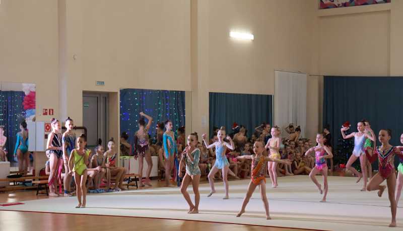 Четверть века высоких результатов и побед: новороссийская школа танцевального спорта &laquo;Ника&raquo; празднует юбилей