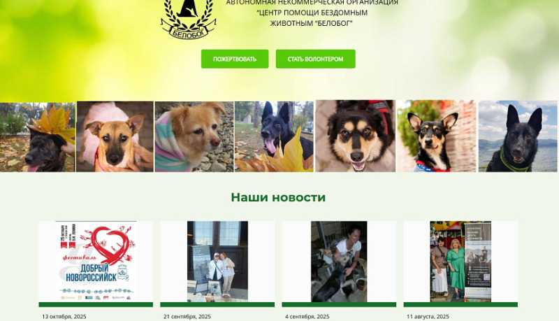 &laquo;Цифровой импульс, веб-возможности для НКО&raquo;: в Новороссийске общественные организации осваивают деятельность в интернет-пространстве