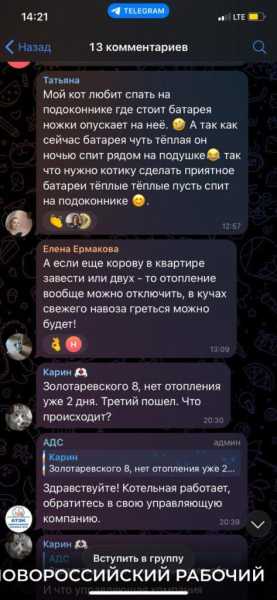 «Да они издеваются!» Новороссийцы раскритиковали пост АТЭКа про котика — источник тепла