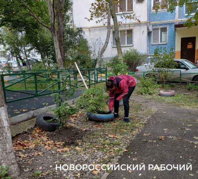 Долой &laquo;красоту&raquo;! В Новороссийске жители борются против клумб из шин