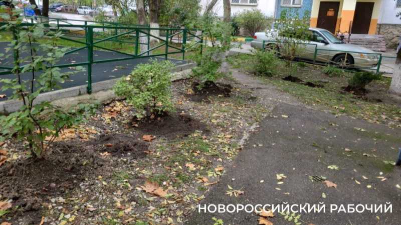 Долой &laquo;красоту&raquo;! В Новороссийске жители борются против клумб из шин