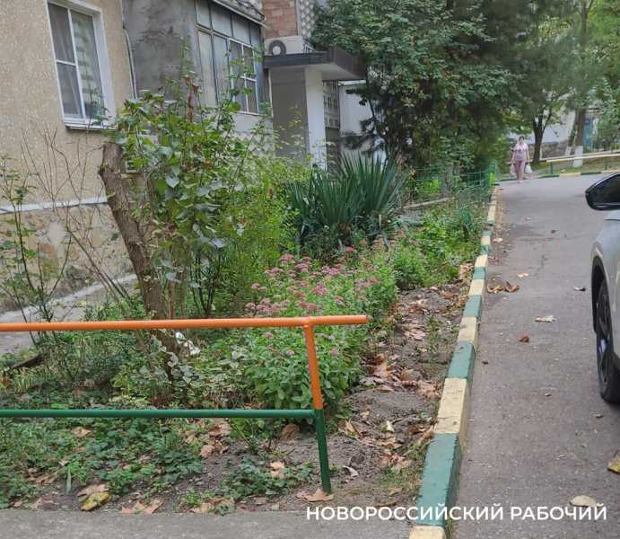 Долой &laquo;красоту&raquo;! В Новороссийске жители борются против клумб из шин