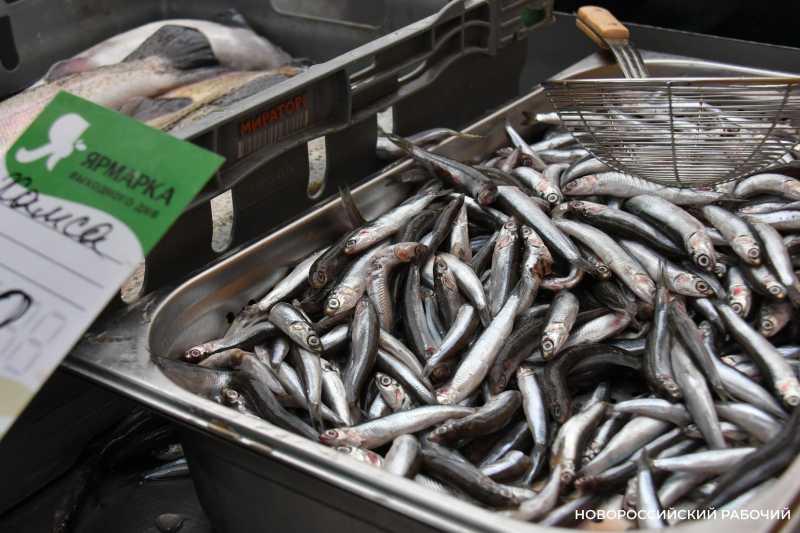 Хамса, пеленгас, камбала &ndash; на прилавках Новороссийска предлагают свежий улов