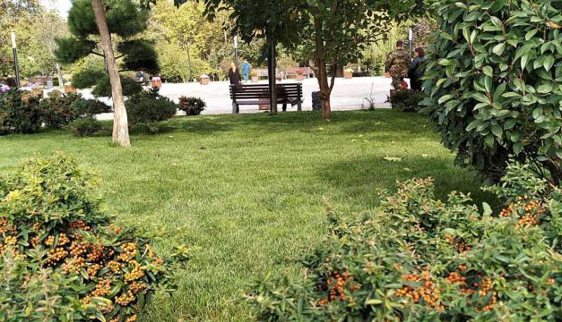 Информация о качестве атмосферного воздуха в городе Новороссийске за период наблюдений 17 &ndash; 18 ноября