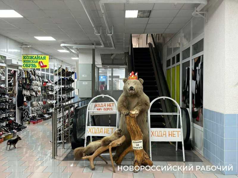 &laquo;Из-за таких как ты, мы и закроемся!&raquo; Вещевому рынку в Новороссийске дают год