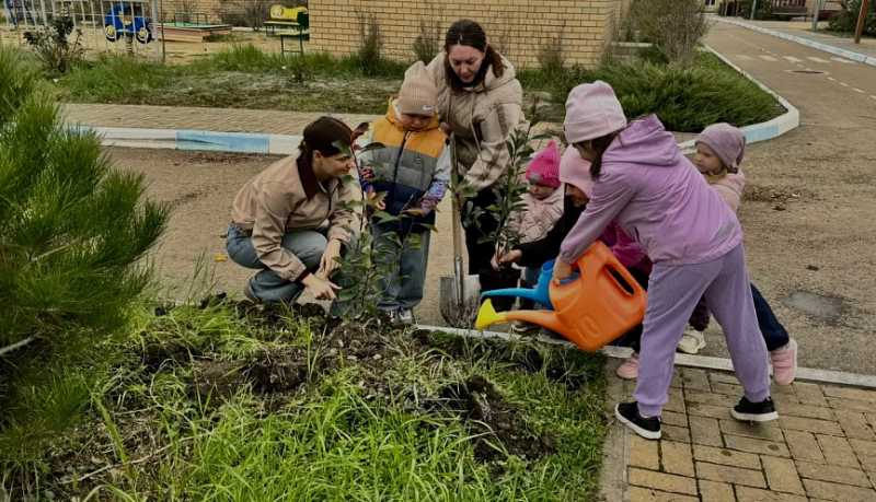 Юные экологи: новороссийским дошкольникам прививают бережное отношение к природе