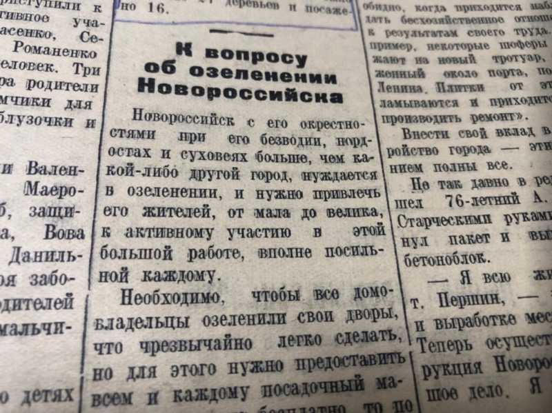 Как в Новороссийске боролись с шумом, голодали в больницах и таскали на себе саженцы для озеленения
