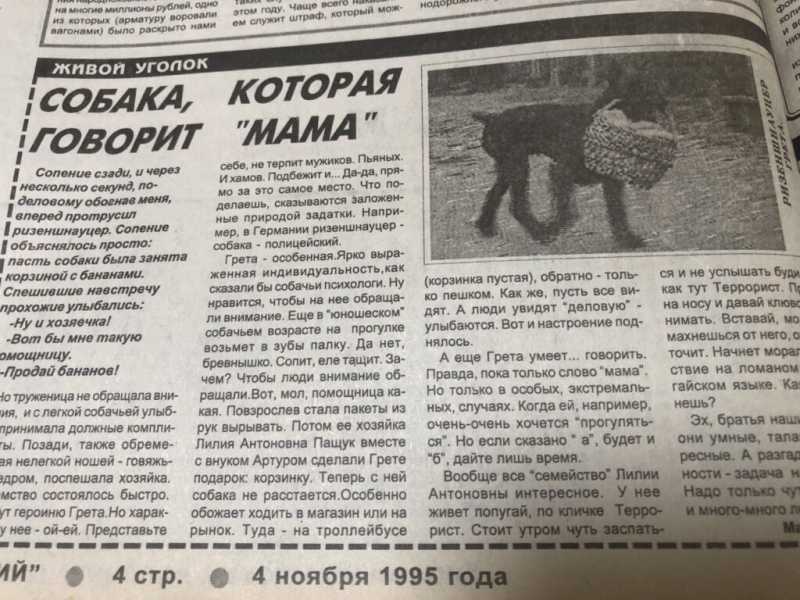 Как в Новороссийске &laquo;Черноморцу&raquo; 5 миллионов подарили, вешали портреты Сталина и учили собак говорить &laquo;мама&raquo;