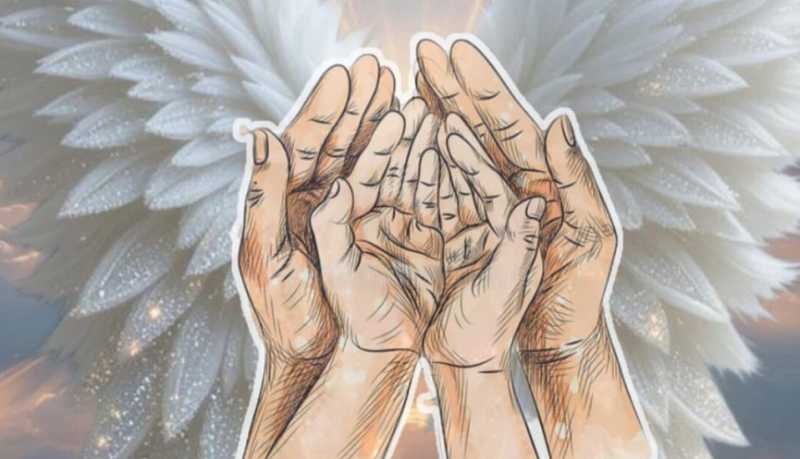 &laquo;Крылья будущего&raquo;: в Новороссийске стартует грантовый проект для детей из замещающих семей 