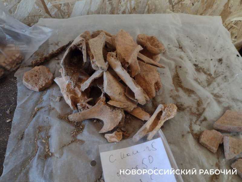 На Малой Земле был подземный ход? В Новороссийске продолжаются раскопки турецкой крепости