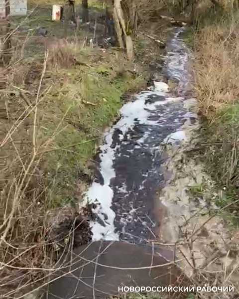 На мусорном полигоне Новороссийска не признали, что загрязняют реки и море свинцом, ртутью и мышьяком